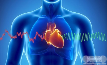 Steroizii și inima unei persoane, ce efect, influența asupra inimii sunt anabolice și
