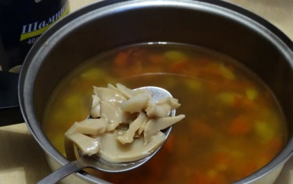 Supă de la păstăi conserve Cum să gătești supă de ciuperci din ciuperci conservate