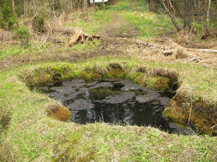 Boluri Talovsky, călătorul