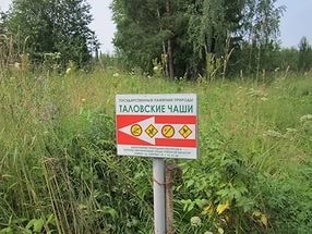 Talovsky boluri în regiunea Tomsk, un bine-wisher