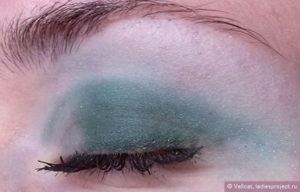 Eyeshadow mister efect spumante (nuanța nr. 703) de la ninelle - recenzii, fotografii și preț