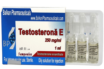 Testosteron enantat (testosteron e)