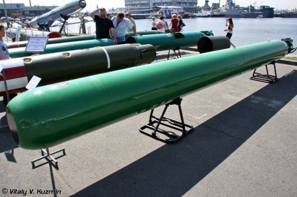 Torpedo ugst «fizician-2»