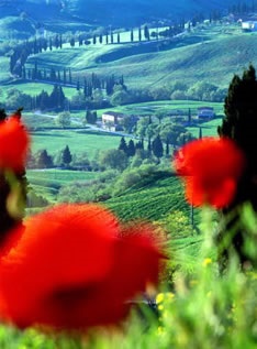Toscana de la si pana la Tuscany de la euguide