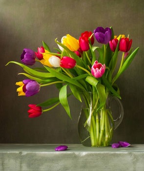 Tulip - legende și credințe despre flori