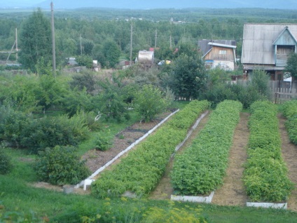 O grădină minunată a jocurilor de noroc - agricultura - tehnologie - catalog de articole