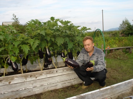 O grădină minunată a jocurilor de noroc - agricultura - tehnologie - catalog de articole