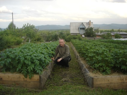 O grădină minunată a jocurilor de noroc - agricultura - tehnologie - catalog de articole