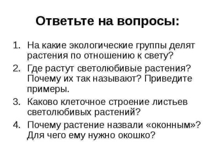 Lecția pe această temă răspunde la întrebările pe care grupurile ecologice împart plantele în raport cu lumina