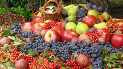 Accelerarea pomilor fructiferi
