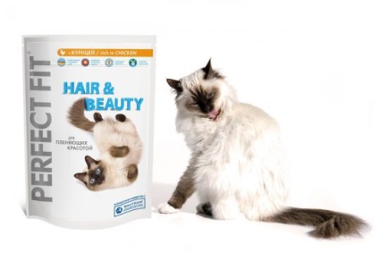 Îngrijirea pisicilor de rase cu păr lung, articole