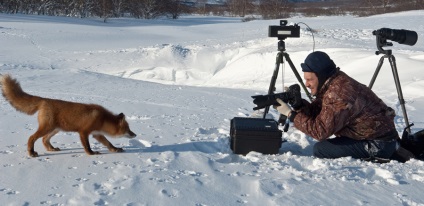 Alegerea unei tehnici de fotografiere a faunei sălbatice