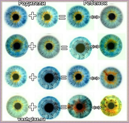 Възможните очни цветовете на детето от таблицата родител