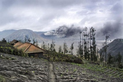 Bromo vulcan în Indonezia fotografie și descriere