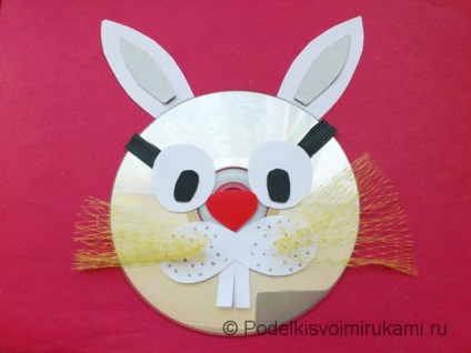 Bunny de pe disc și hârtie