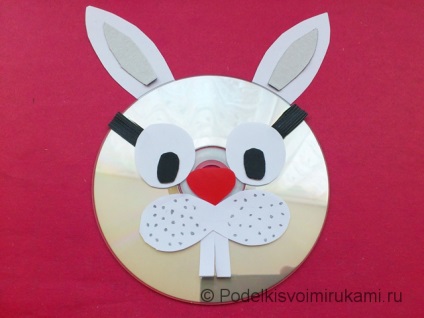 Bunny de pe disc și hârtie