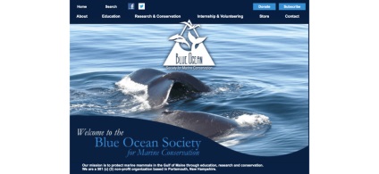 10 Szilárd szervezetek, amelyek harcolnak az óceán megőrzéséért
