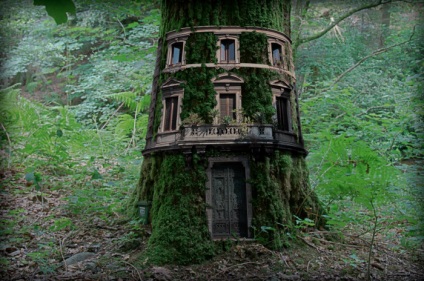 15 Cele mai uimitoare case pe copac