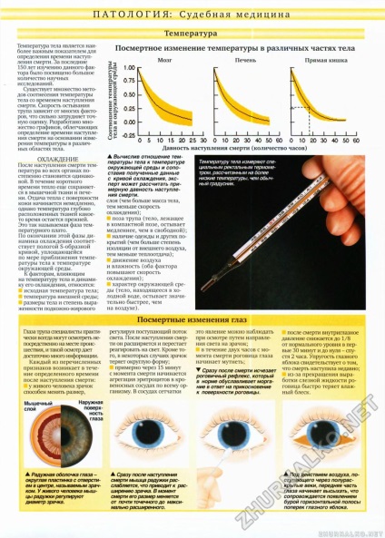 1 Corpul co-uman nr. 89, pagina 12