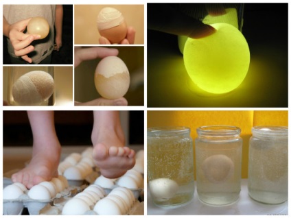 5 Experimente fascinante cu ouă
