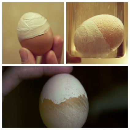 5 Experimente fascinante cu ouă