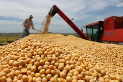 A régió agrárjai készek a szójabab termesztésére