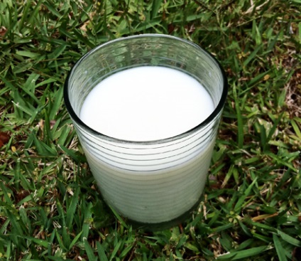 Ayurveda și laptele