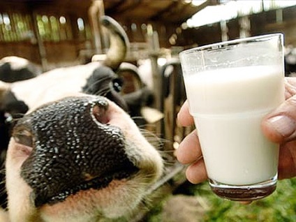 Ayurveda despre lapte, rodobozhie