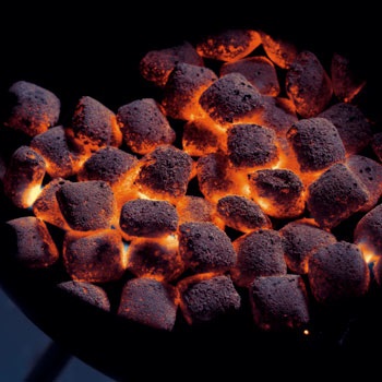Barbecue grill weber - cea mai buna alegere pentru picnicul tau