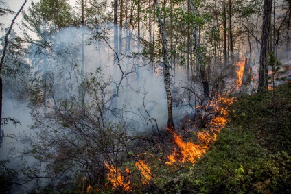 Pentru a stropi pentru burkhan ca pe - baikal stinge incendii de pădure - pasăre în zbor