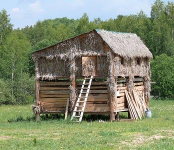 Ce este articolul ethnomir - recreere cu copii