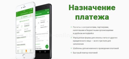 Care este scopul plății în Sberbank online? Cum se completează caseta când se plătește impozitul