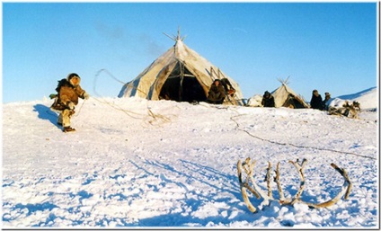 Terenul Chukchi este o sursă de bună dispoziție