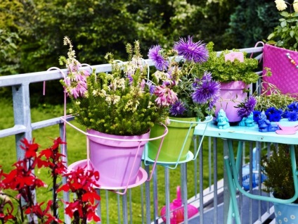 Vase de flori pe balustradă și garduri