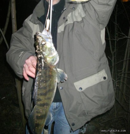 Dedovskie tackle), a blog felhasználó fonburik, a halászok és vadászok szociális hálózata