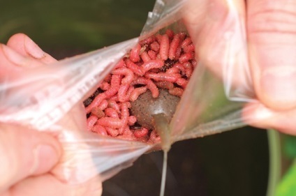 Készítünk egy kompetens pva-bagot () Készítünk egy megfelelő tasakot