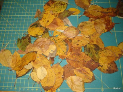 Facem o carte poștală neobișnuită cu frunze de toamnă - târg de maeștri - manual, manual