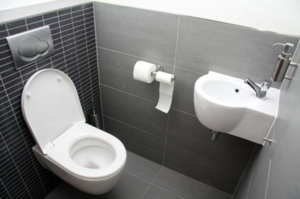Designul toaletei în apartament 21 fotografii, opțiuni cu chiuveta și instalare