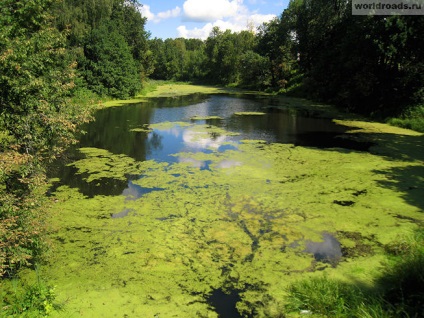 Vizitarea obiectivelor de la Moscova din Marfino, drumuri de pace