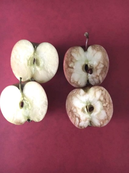 Două mere arată la fel