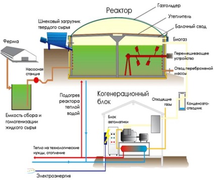 Proiectul ecologic 