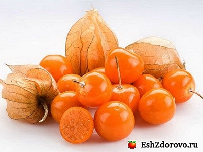 Physalis hasznos tulajdonságai