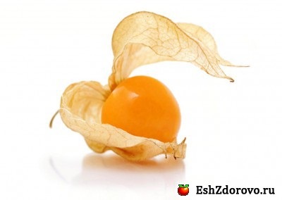 Physalis hasznos tulajdonságai