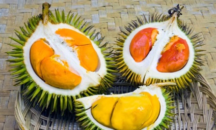 Fructe de durian, fructe exotice de durian