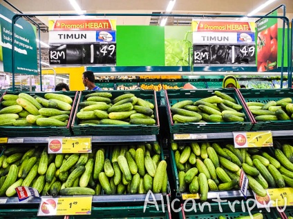 Hol kell eljutnia a busz - tesco várakozás idejére a macska bárban (Malajzia)