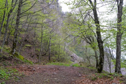 Masina de curcan turistic montan si traseu montan, locuri de parcare