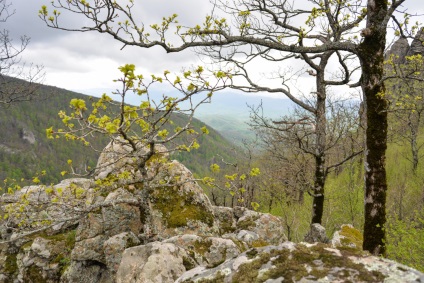 Masina de curcan turistic montan si traseu montan, locuri de parcare