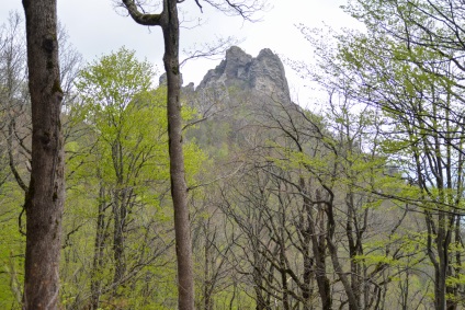 Masina de curcan turistic montan si traseu montan, locuri de parcare