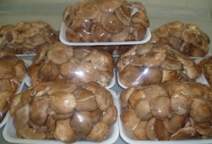 Ciupercile Shiitake - beneficiază și dăunează organismului