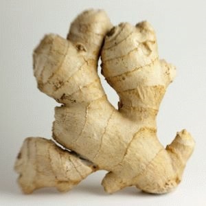 Ginger панкреатит е възможно да има, въздействие върху панкреаса